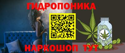 бошки Кимры