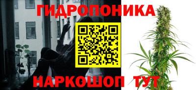 круглые Кингисепп