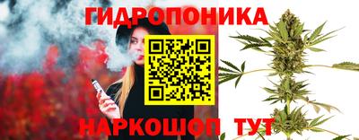 круглые Кингисепп