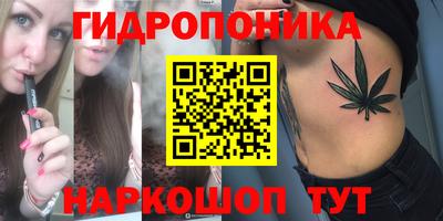 круглые Кингисепп