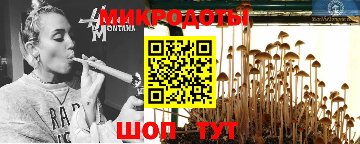 Чита  Псилоцибиновые грибы ЛСД  Вход с VPN 