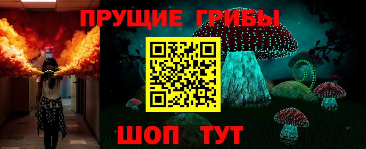 Галлюциногенные грибы Psilocybine cubensis Чита